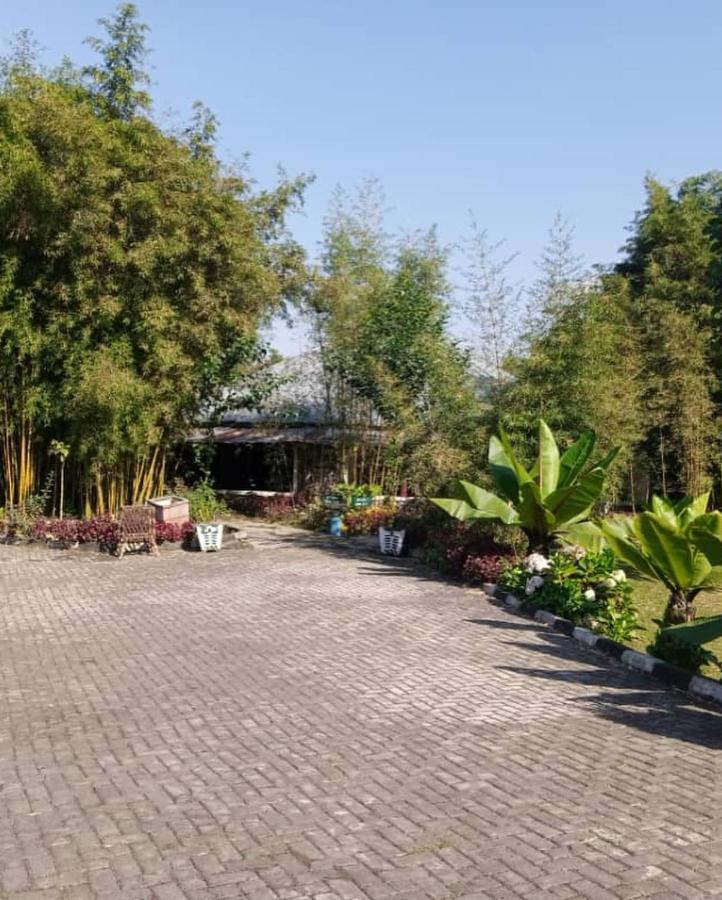 Le Bambou Gorilla Lodge Kinigi Exterior foto