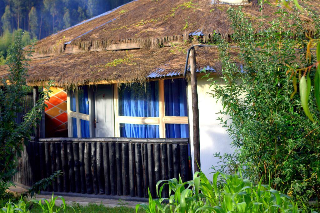 Le Bambou Gorilla Lodge Kinigi Habitación foto