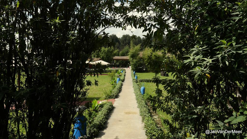 Le Bambou Gorilla Lodge Kinigi Exterior foto